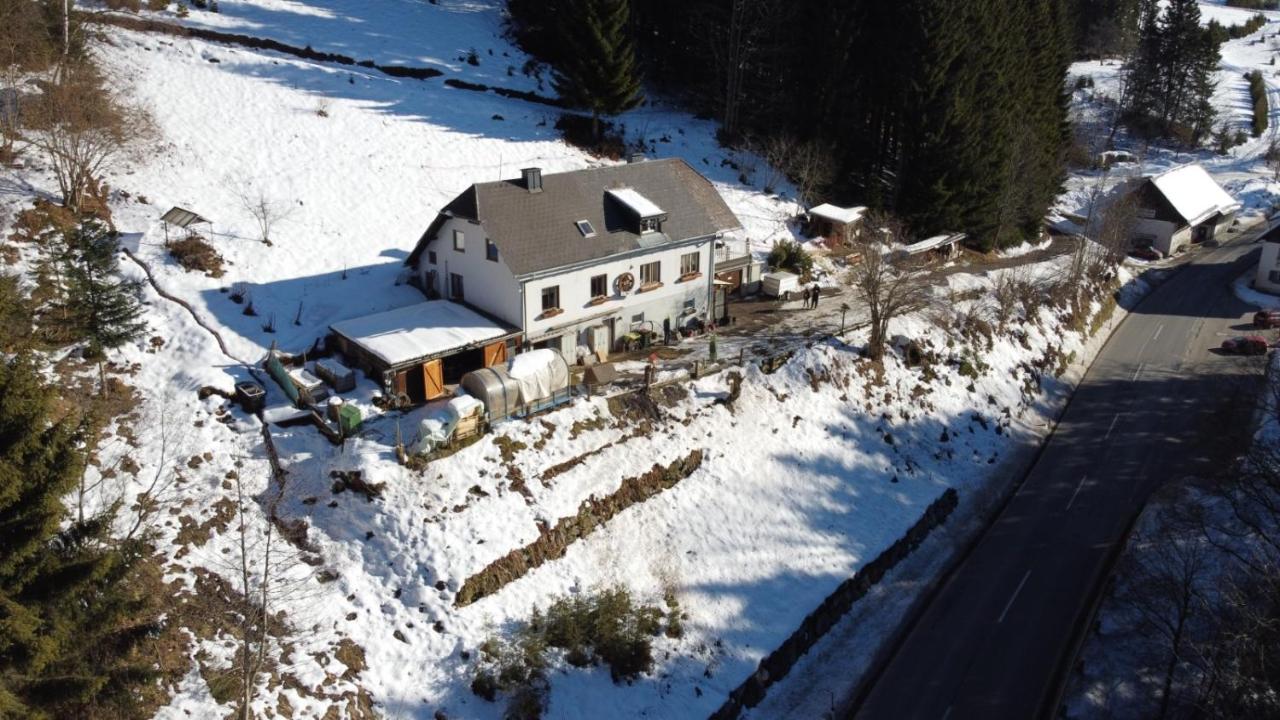 Apartment Peterl Krieglach Eksteriør bilde